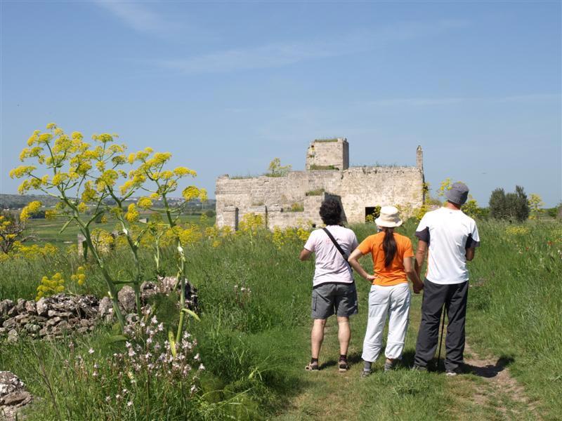 P5020225-(Medium).jpg - Masseria San Pietro