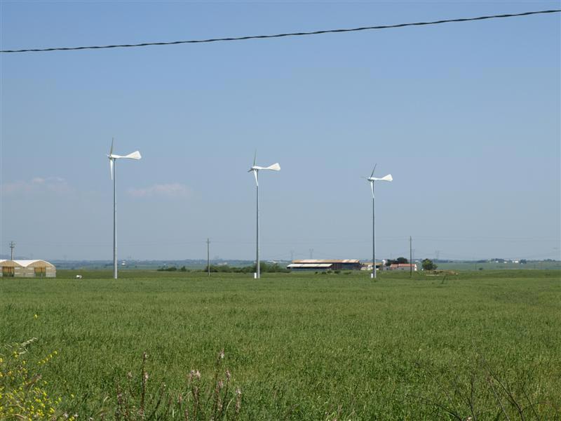 P5020382-(Medium).jpg - Il futuro dell'energia