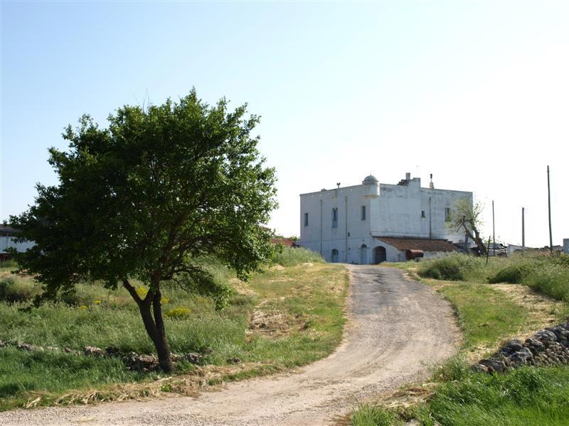 P5020422-(Medium).jpg - Masseria Martellotta