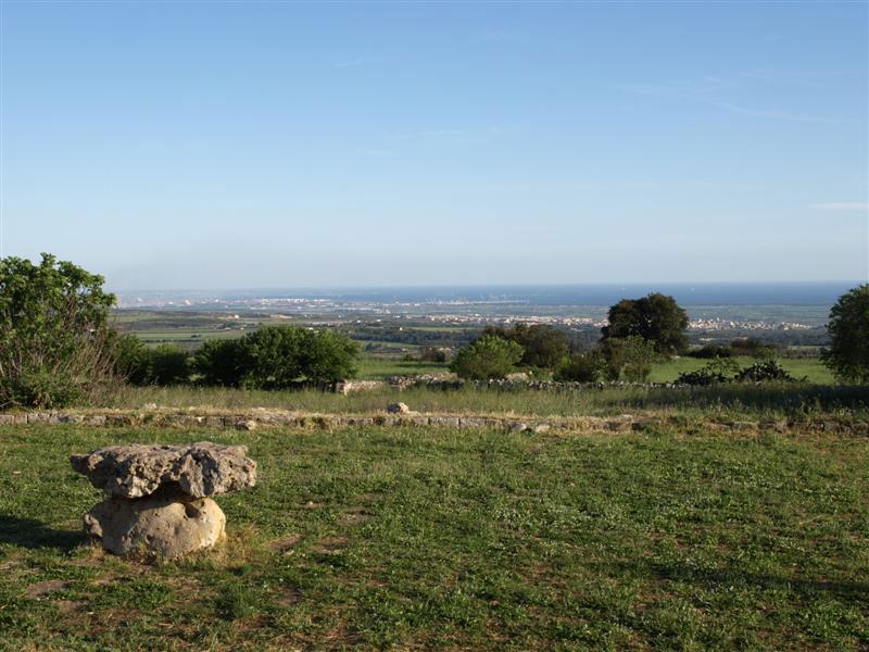 P5030568-(Medium).jpg - Sera a Masseria Monte Sant'Elia (attendendendo i grandtouristi)