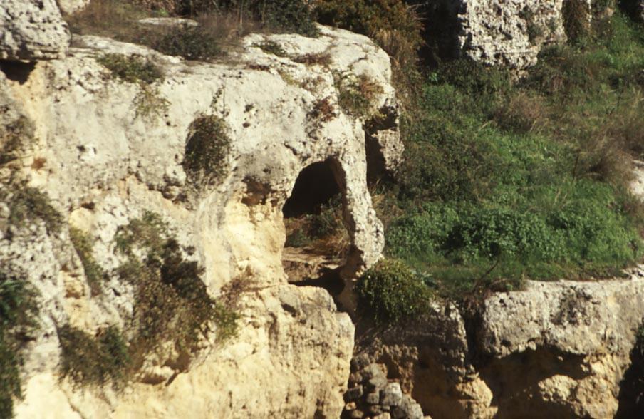 Montemesola-Gravina5.jpg - Montemesola Gravina del Marchese