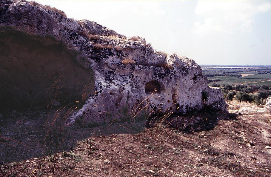 Roccaforzata-MonteSElia.jpg - Roccaforzata Monte Sant'Elia