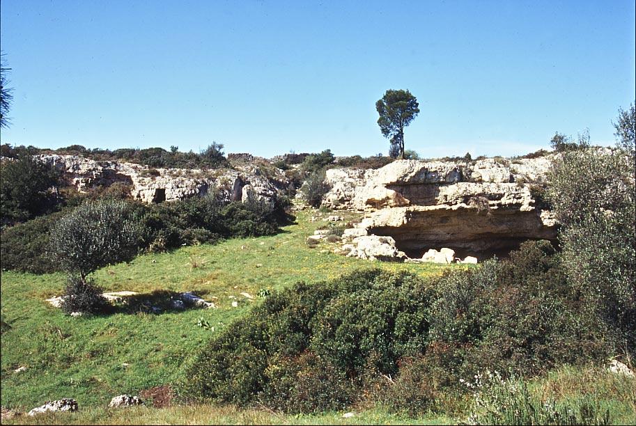 Statte-Capocanale1.jpg - Statte Insediamento della lama ad Est di Masseria  Capocanale